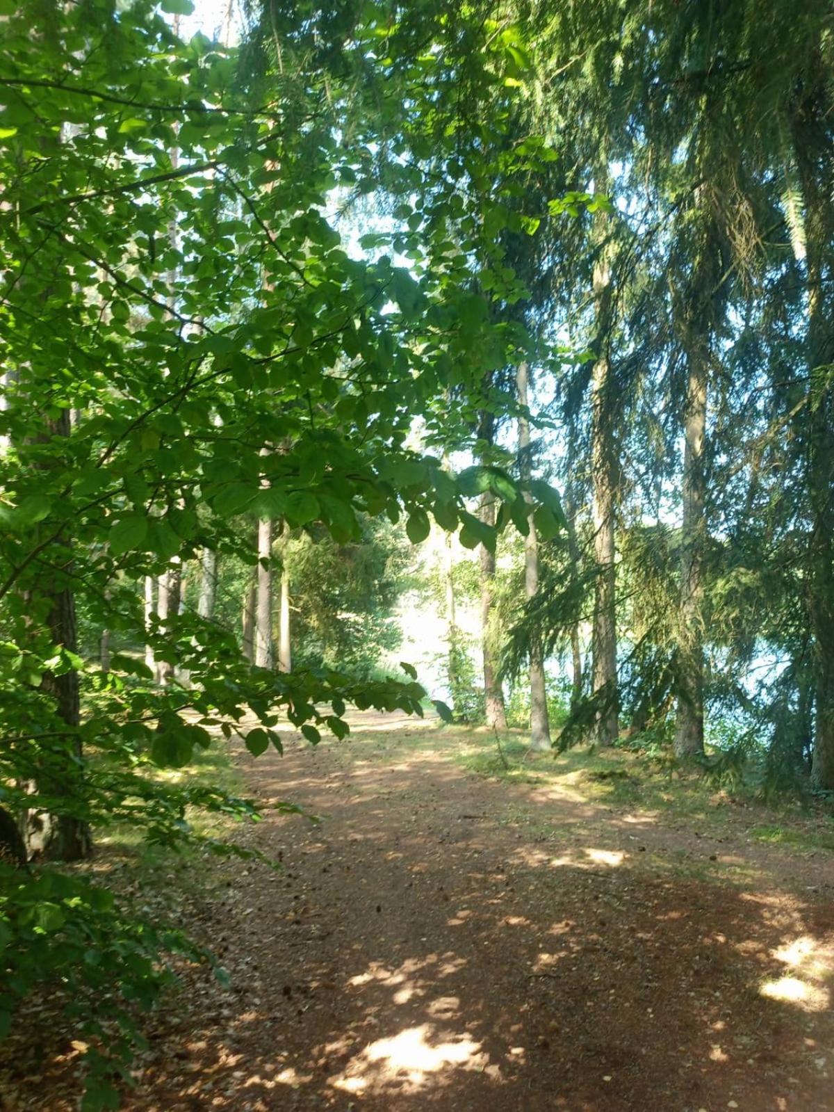 Domek Na Kaszubach, Borowy Mlyn, Jezioro Gwiazda, Sauna, 3 Экстерьер фото