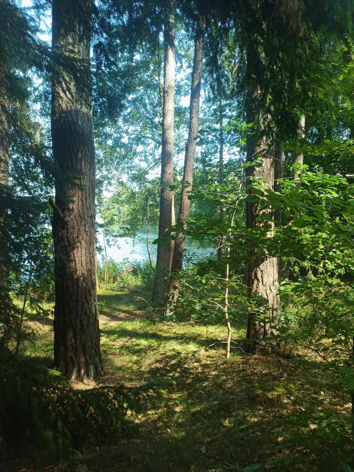 Domek Na Kaszubach, Borowy Mlyn, Jezioro Gwiazda, Sauna, 3 Экстерьер фото